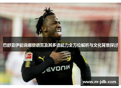 巴舒亚伊能说哪些语言及其多语能力全方位解析与文化背景探讨